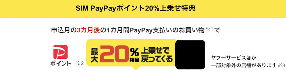PayPayポイント20％上乗せ特典